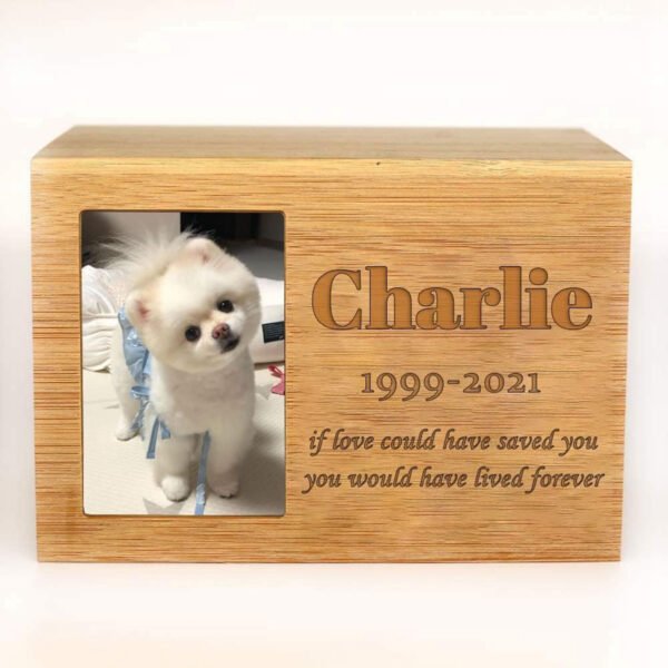 engraved pet urns